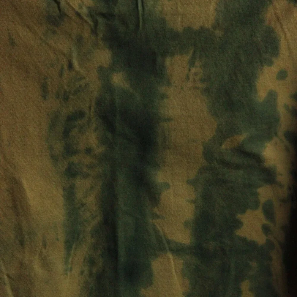 Lizard - Picture 7 of 7